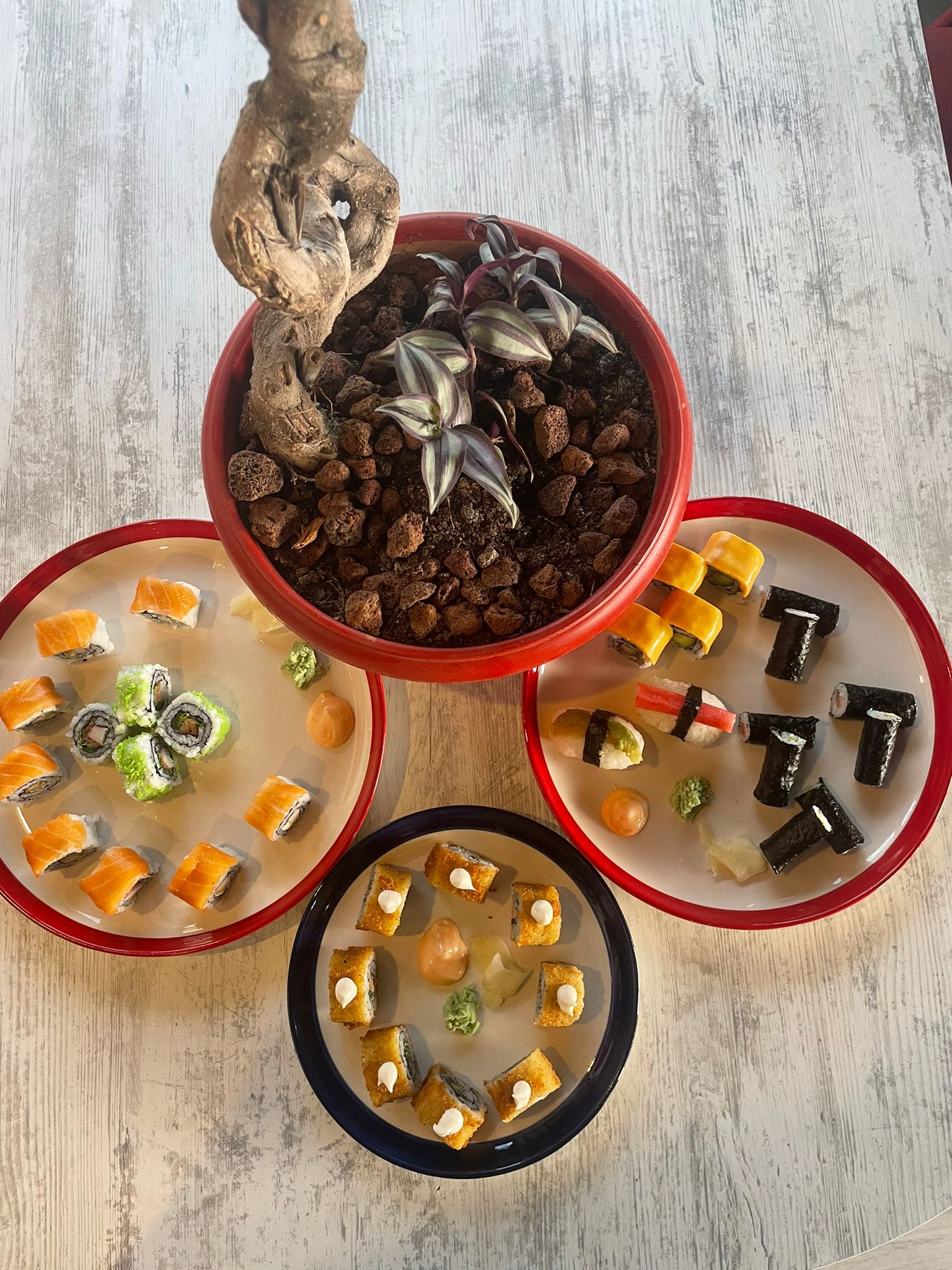 Mega Fest Sushi Set