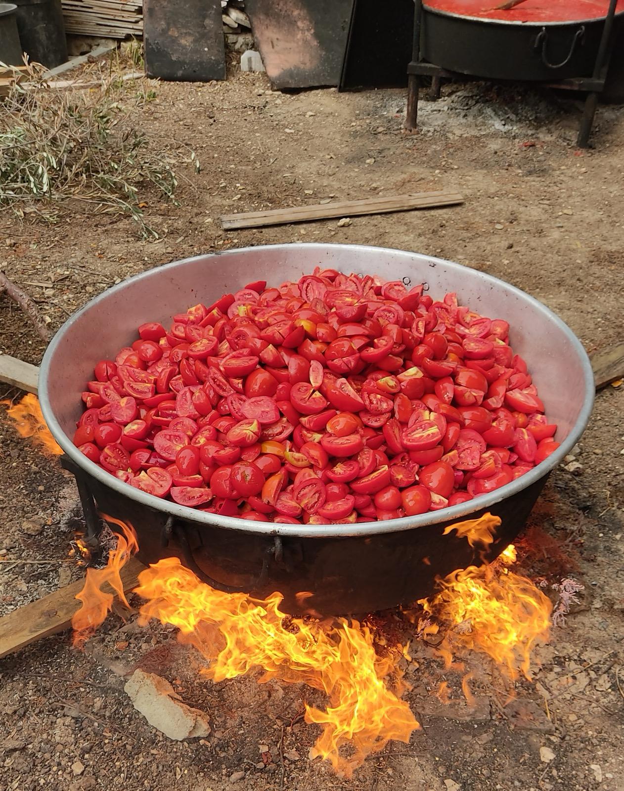 Tomato paste (1 kg)
