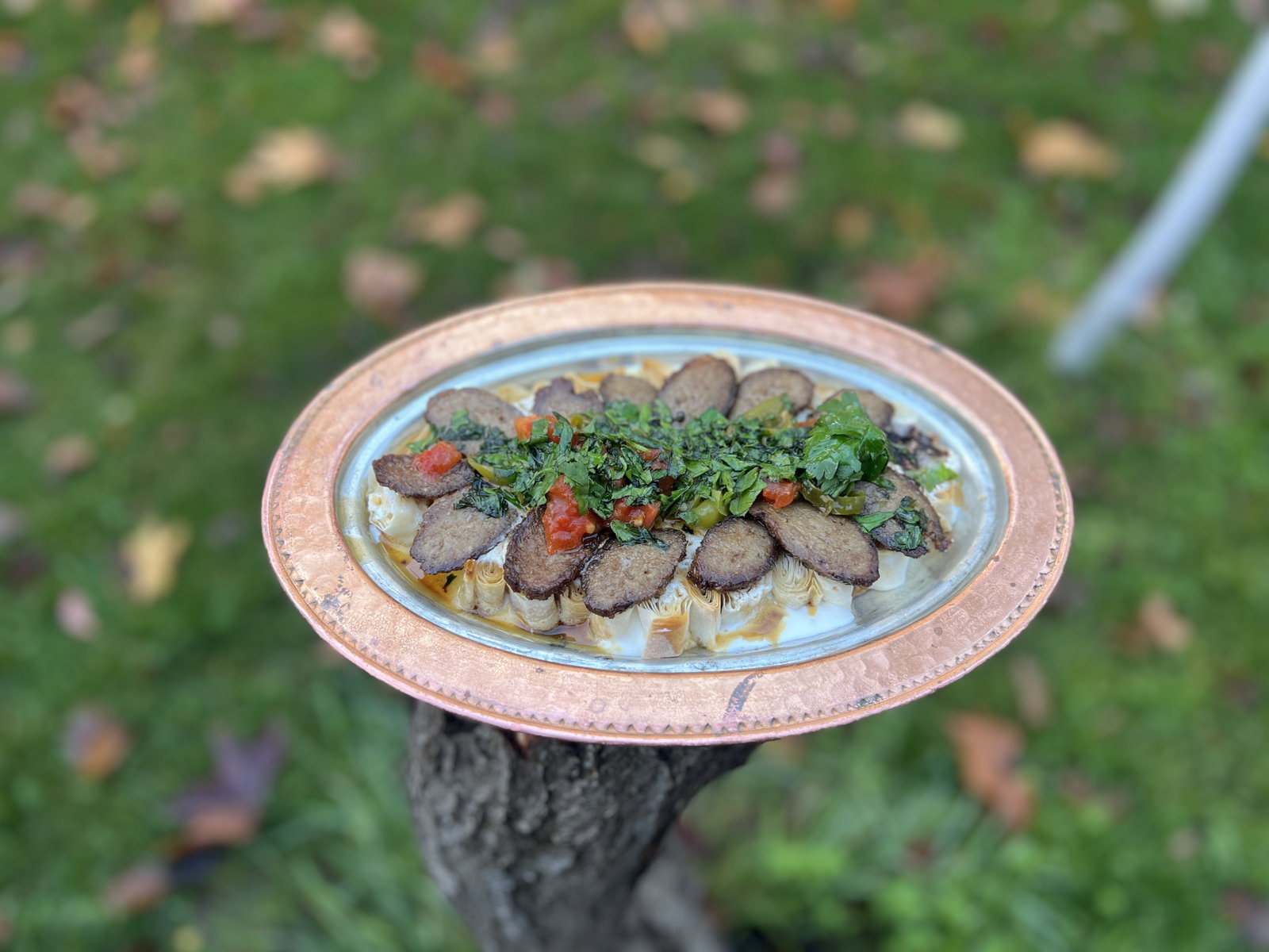 SİRON Kebab 1