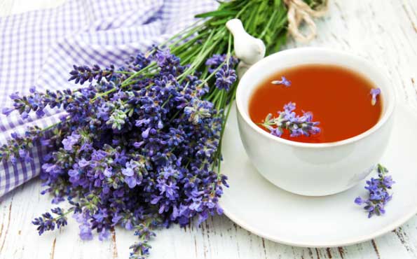 Lavender tea
