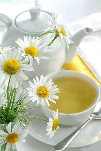 Chamomile tea